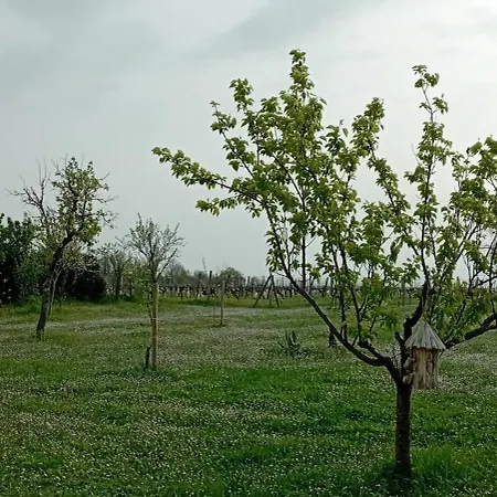 Le Cosy Apartament Hiersac